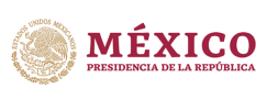 Logo_Presidencia_de_la_Republica_del_Gobierno_de_Mexico-13-e1779612777682.png